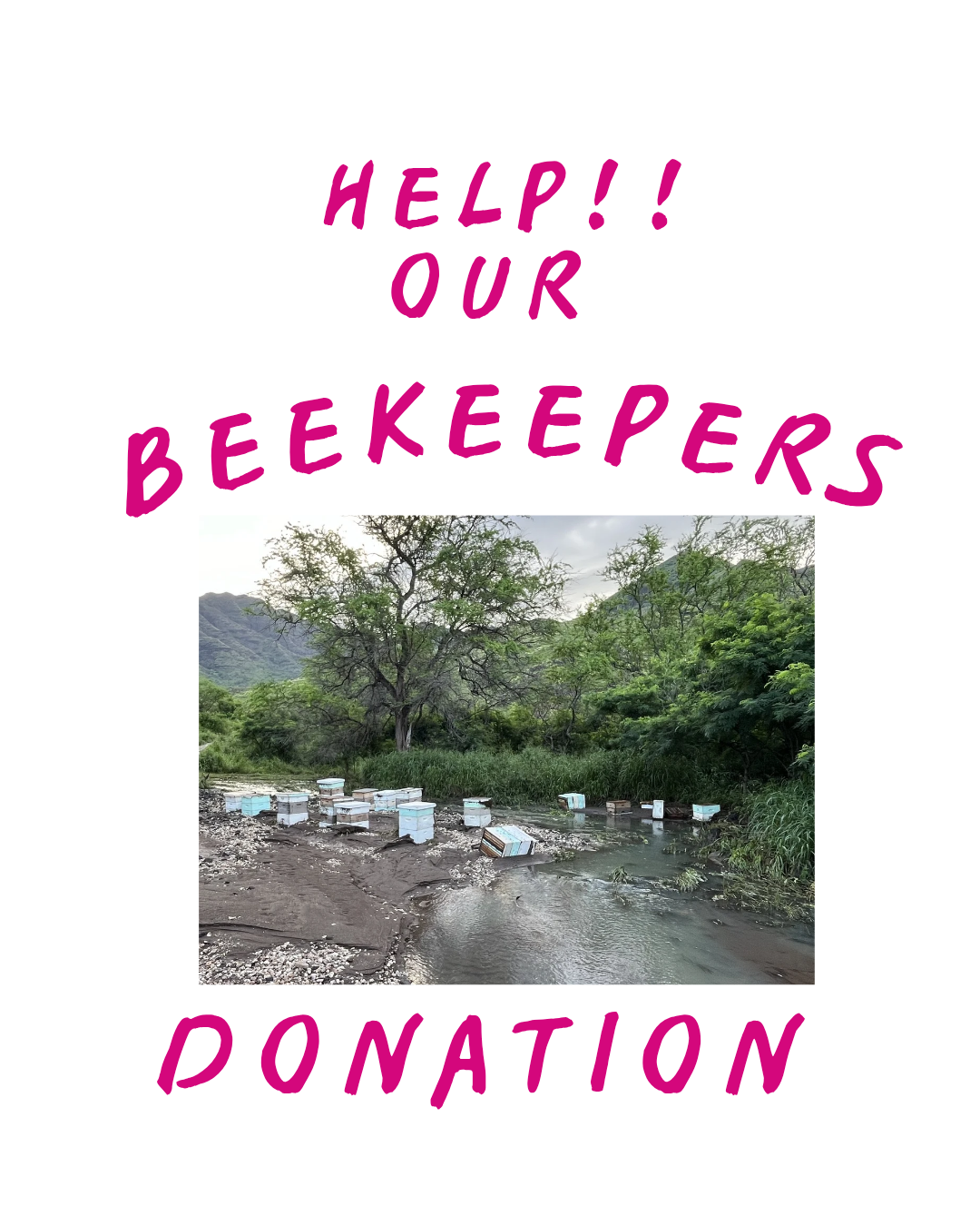DONATE FOR BEEKEEPERS