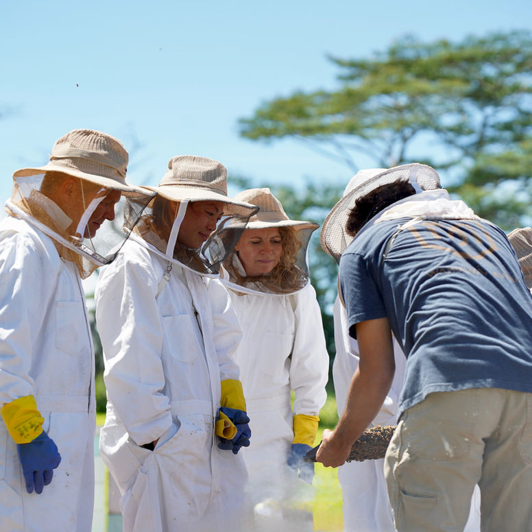 Bees to Mead Tour at Manoa Honey & Mead