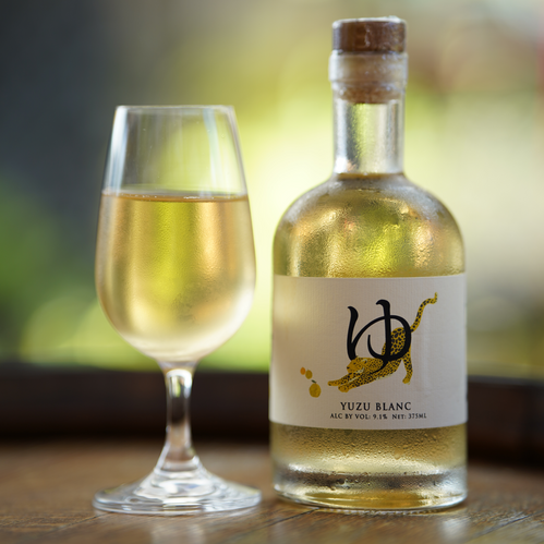 Yuzu Blanc Mead | Mānoa Honey & Mead