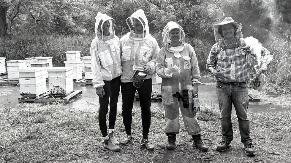 Why Our Unique Bees to Mead Tour on O'ahu Belongs on Your Hawaiʻi Itinerary