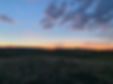 backdrop.jpg