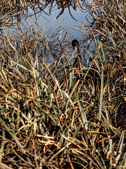 Lake Dulverton, Oatlands Tasmania