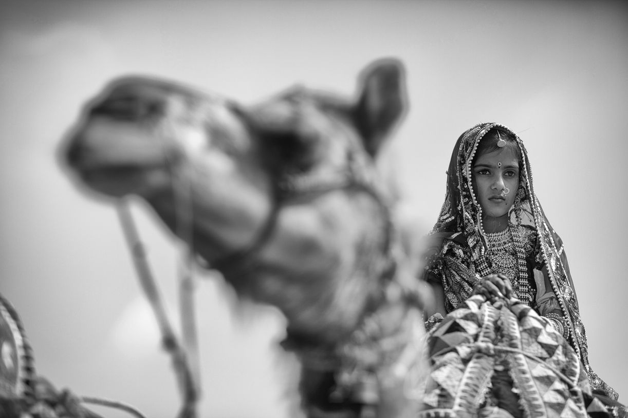Bride on a camel in Rajasthan