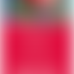 Julbord på Gamla slottet Stenhuset i Skokloster