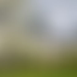 Skoklosters slott öppnar upp för våren!