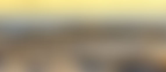 God Jul & Gott Nytt År!