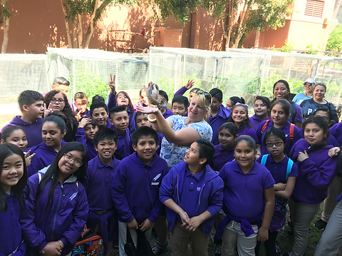 Screen Shot 2019-05-25 at 5.14.55 PM.png