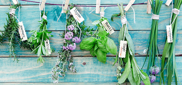 Fresh Herbs Display