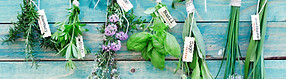 Hanging Herbs