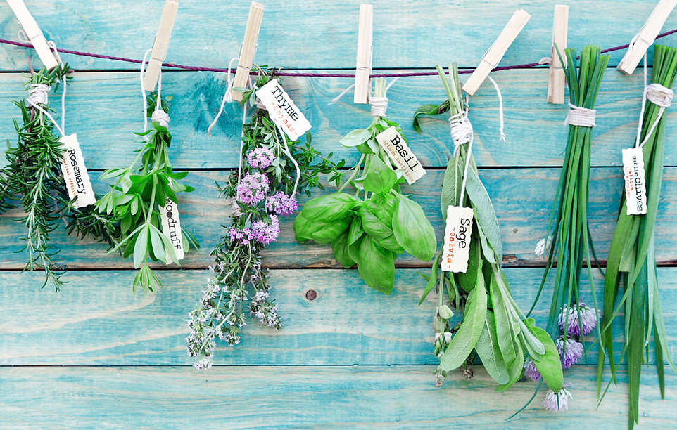 Hanging Herbs