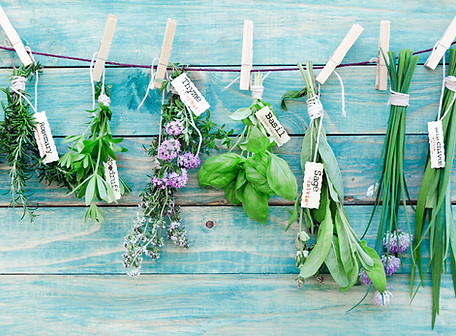 Hanging Herbs