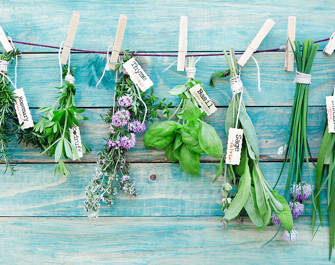 Hanging Herbs