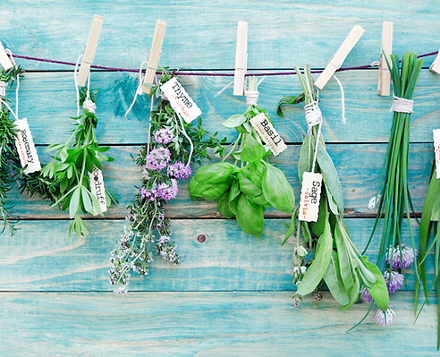 Hanging Herbs