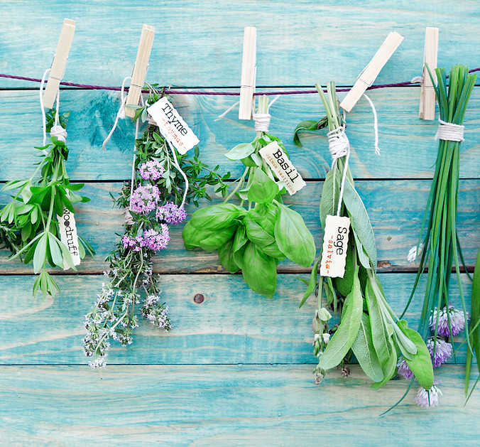 organic herb medication