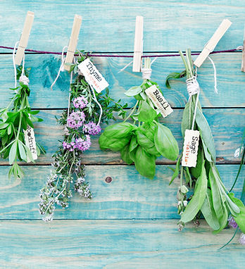 Hanging Herbs