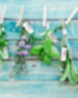 Hanging Herbs