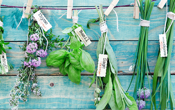 Hanging Herbs