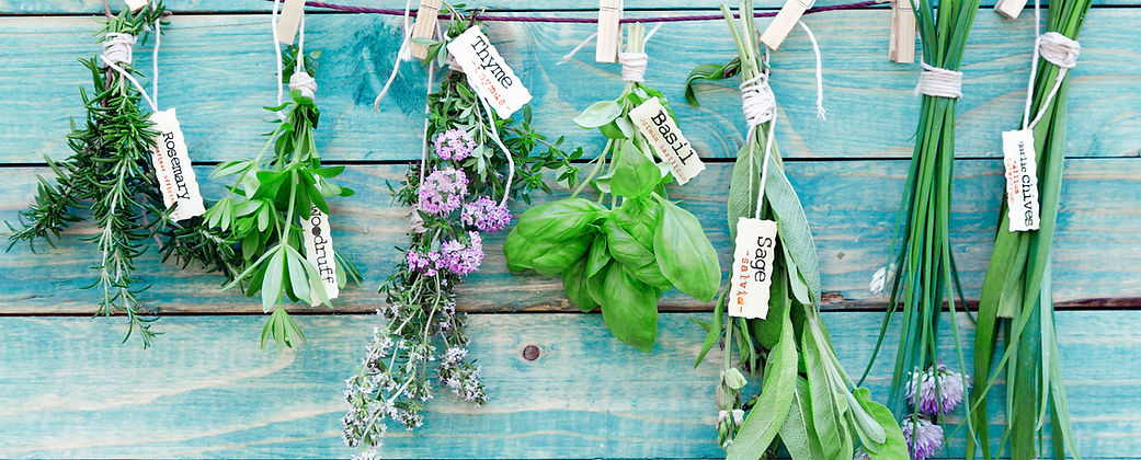 Hanging Herbs