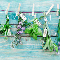 garden herbs hanging to dry for natural skincare ingredients