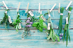 Herbs Herbal Medicine Natural Holistic Naturopathic Medicine