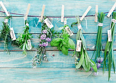 Hanging Herbs