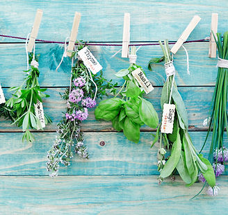 Hanging Herbs