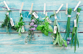 Hanging Herbs