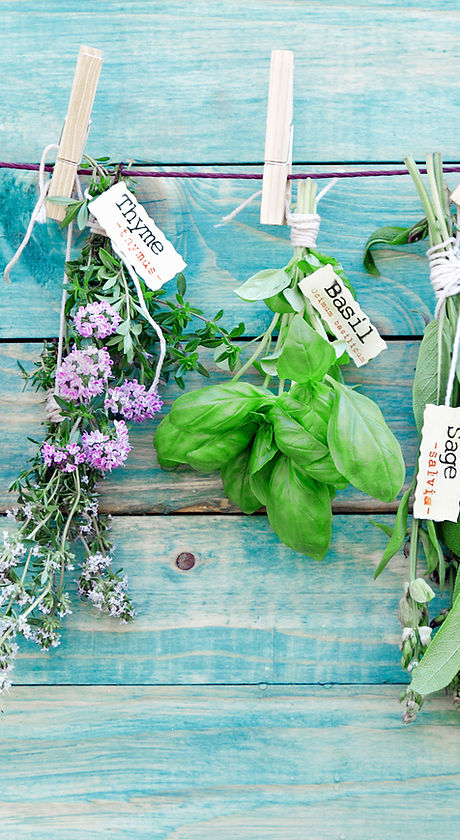 Hanging Herbs