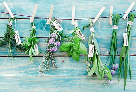 Hanging Herbs