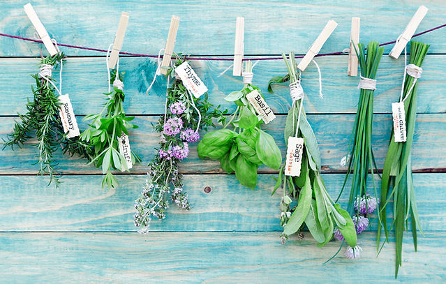 Hanging Herbs