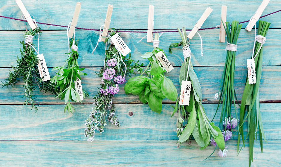 Hanging Herbs
