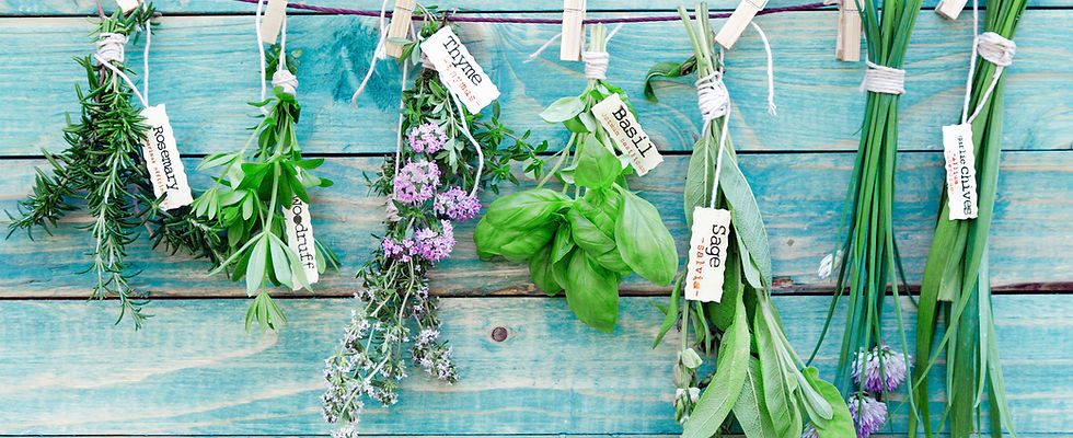 Hanging Herbs