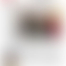 Vol. LV Issue 20 10/22/2025