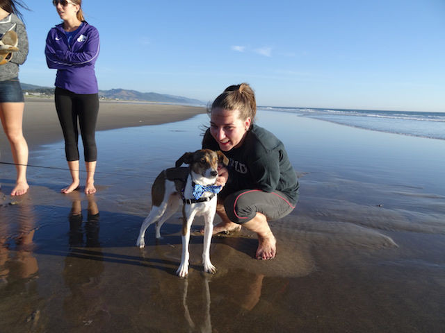 Manzanita Pet