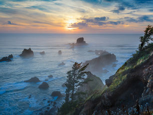 Fog rolling in at Ecola State Park