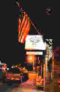 San Dune Pub manzanita