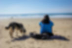 Oregon Coast Pet Stores
