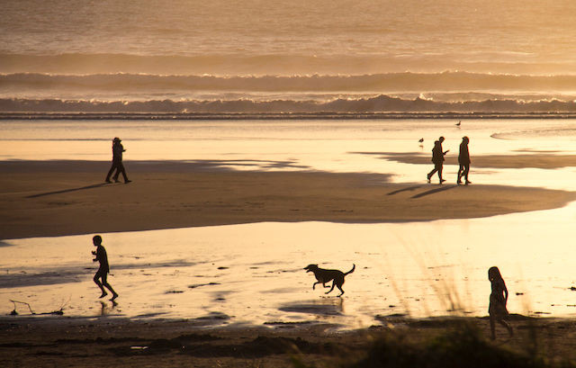 Pet friendly Manzanita rental houses