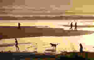 Pet friendly Manzanita rental houses