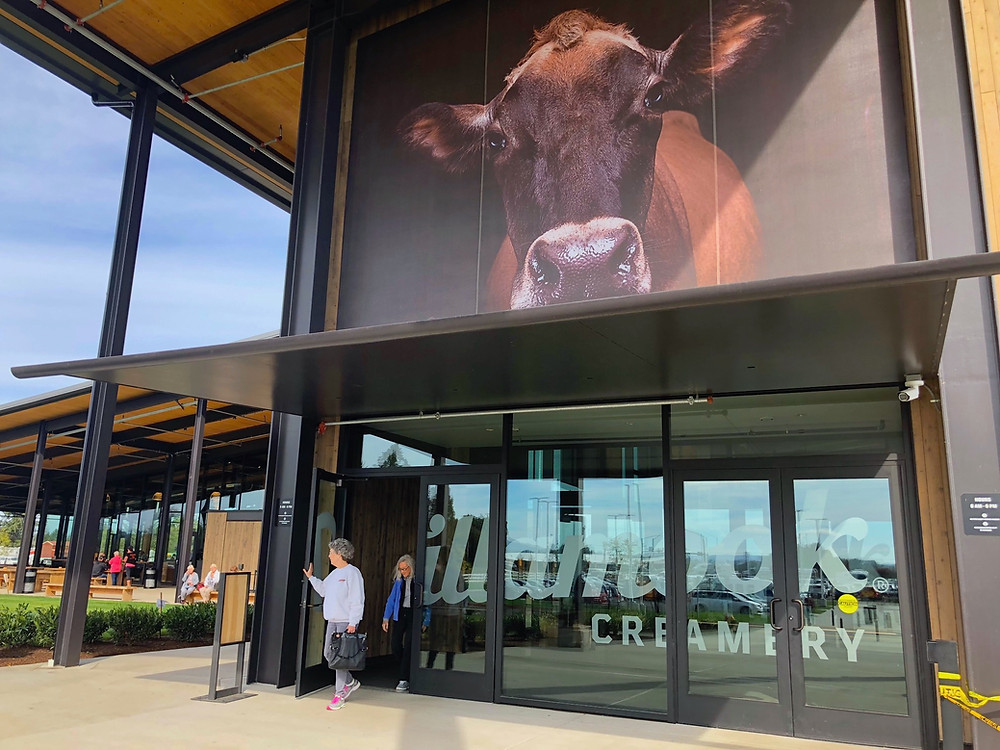 Tillamook Cheese Factory Tour