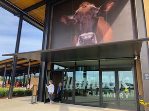The Very Best Tillamook Cheese Factory Tour Ever