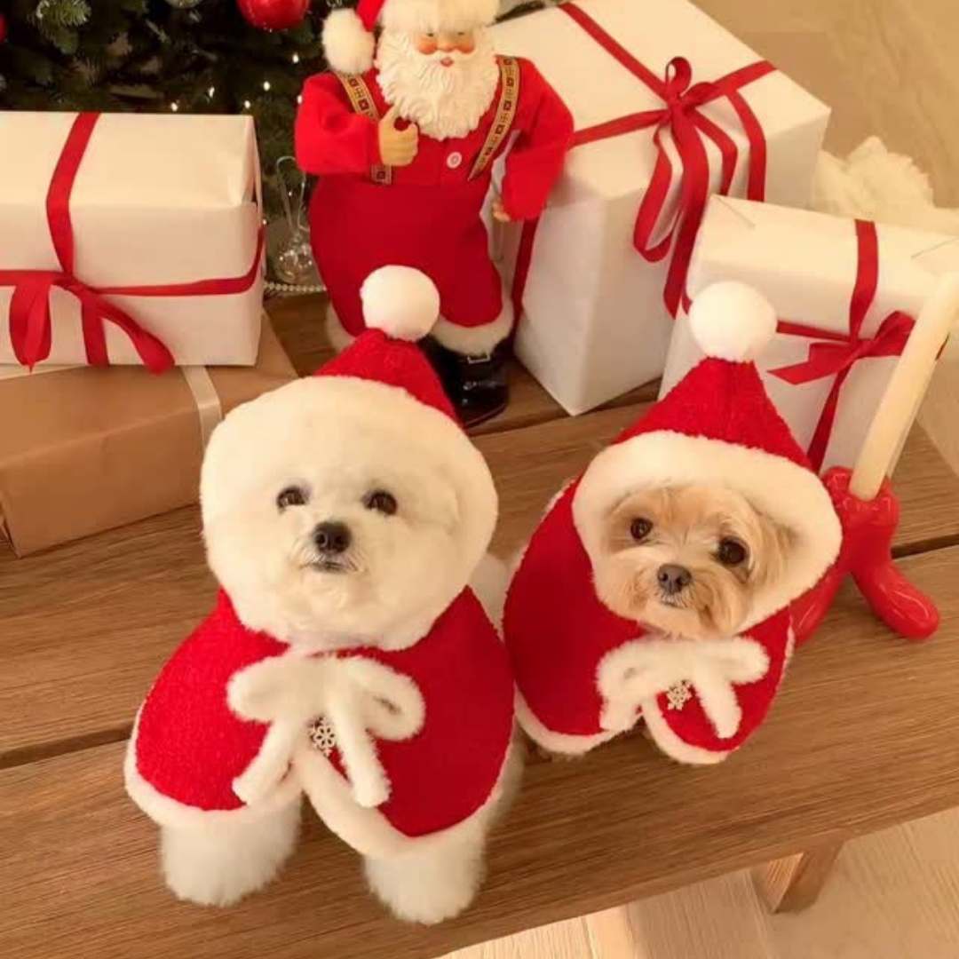 Christmas Santa Dog Cape