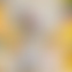 How to Prepare Your Child for a Portfolio Photoshoot: Tips for Parents