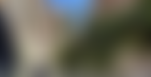 Our hike in the Narrows.