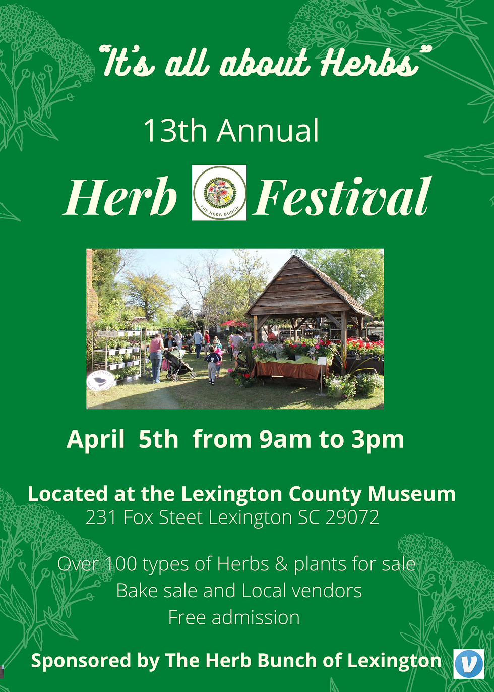 Herb Festival 2025