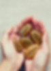 Hands Holding Inspirational Stones