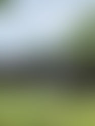 Muss Dornröschen nochmal wachgeküsst werden?