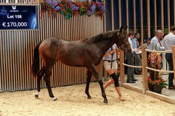 F.22 Bianca De Medici