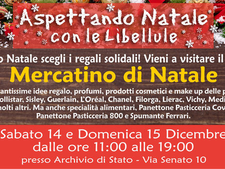 Aspettando il Natale 2019 con le Libellule, Mercatino Solidale natalizio