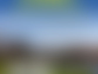 Domenica 16 Luglio le Libellule volano sul green!